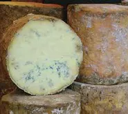 Undo Releases Live Recorder 5.1