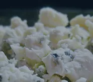 Undo’s Software Flight Recording Technology is Now Available for Go Programming Language